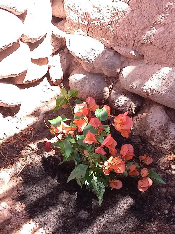 Casa Buenavista Hotel San Pedro de Atacama Eksteriør billede